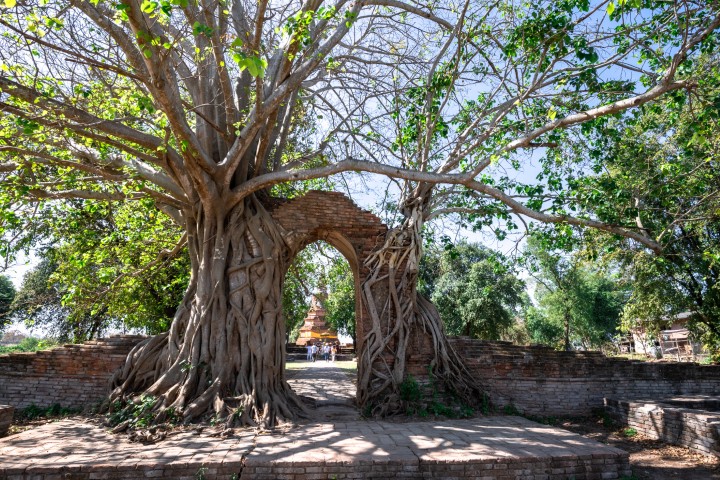 พระนครศรีอยุธยา
